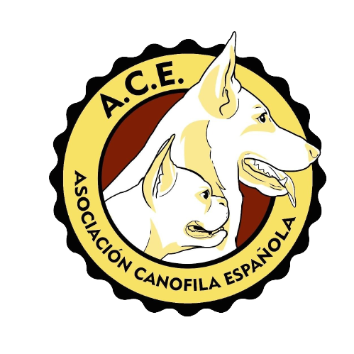 ACE Logo